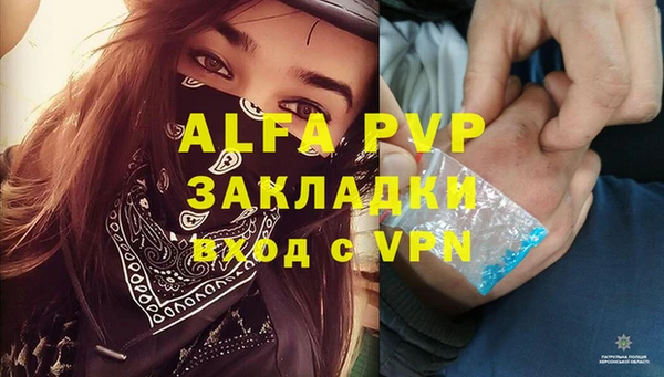 дживик Беломорск